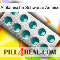 African Black Ant dapoxetine1